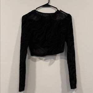 Elegant Black Long Sleeve sheer Top